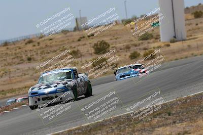 media/May-03-2025-Lucky Dog Racing (Sat) [[206de64b9d]]/Turn 6 (150pm-230pm)/